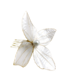 Elen Hair Clip